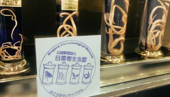 The Meguro Parasitological Museum in Tokyo, Japan.