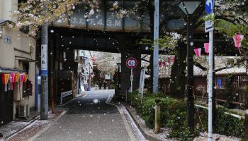 Streets of Meguro ward
