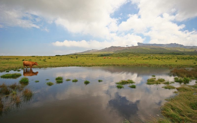 Lake at the active volcano - Mount Aso at Kumamoto, Japan