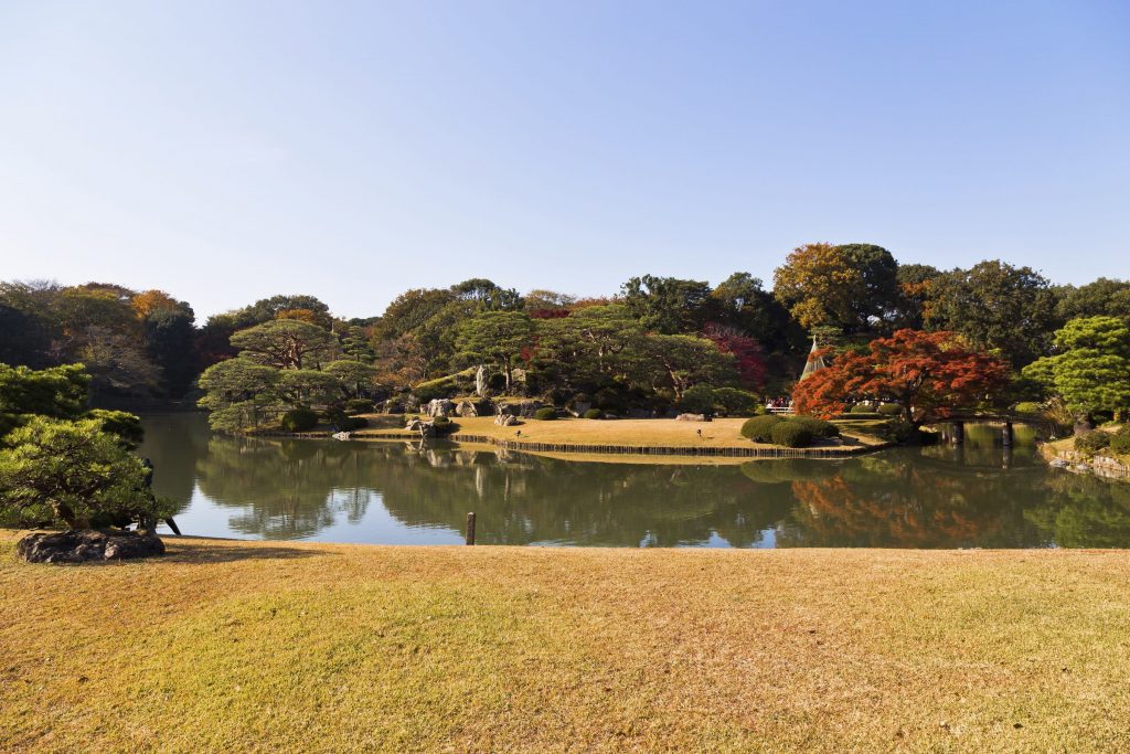 Autumn leaves at Shinjuku Gyoen