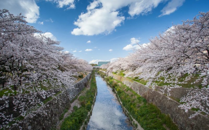 The Yamazaki River in Nagoya, Japan.